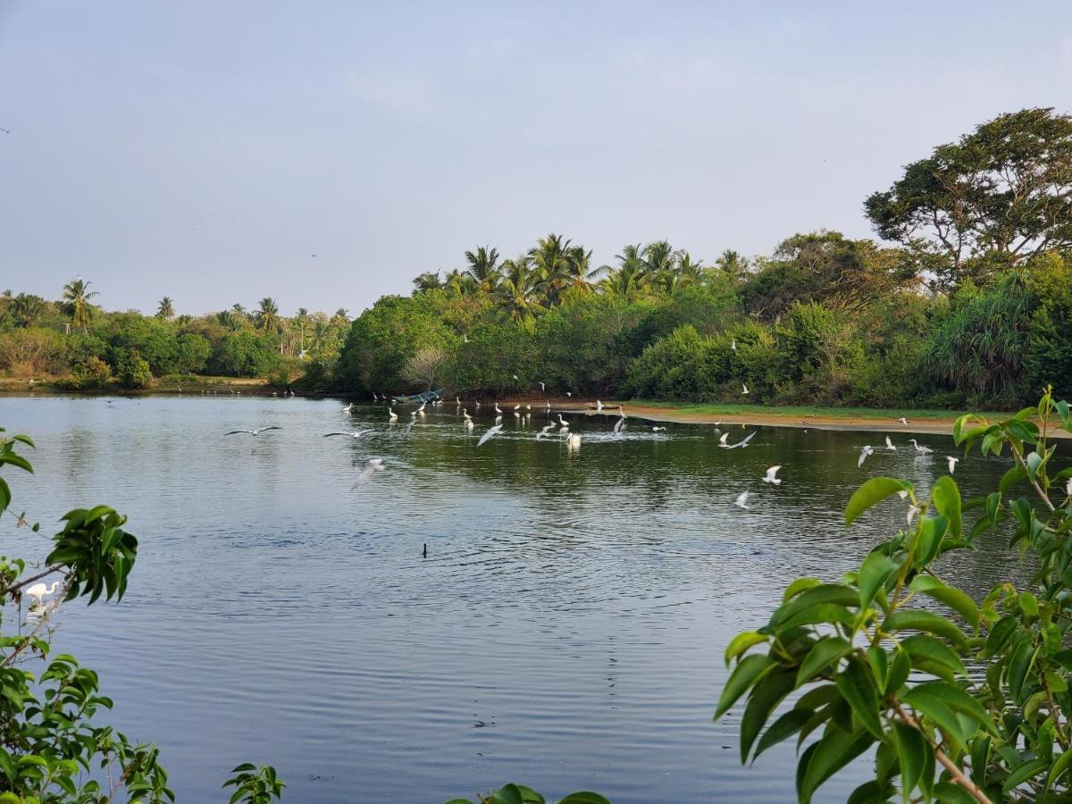 Ceu Ceylon Villa Tangalle Exteriör bild